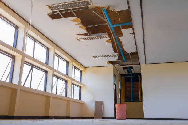 Best Water damage restoration near me  in Gordon, NE
