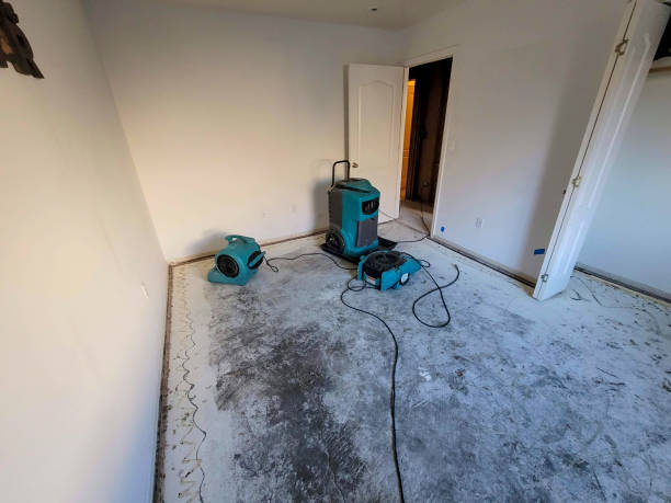Fire Damage Restoration in NE