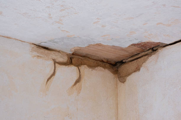 Best Residential water damage restoration  in Gordon, NE