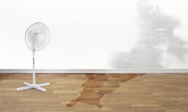 Best Basement water damage restoration  in Gordon, NE