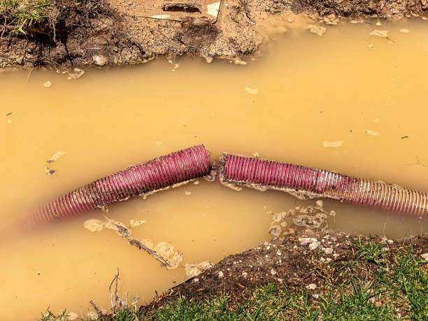 Best Water damage contractors near me  in Gordon, NE